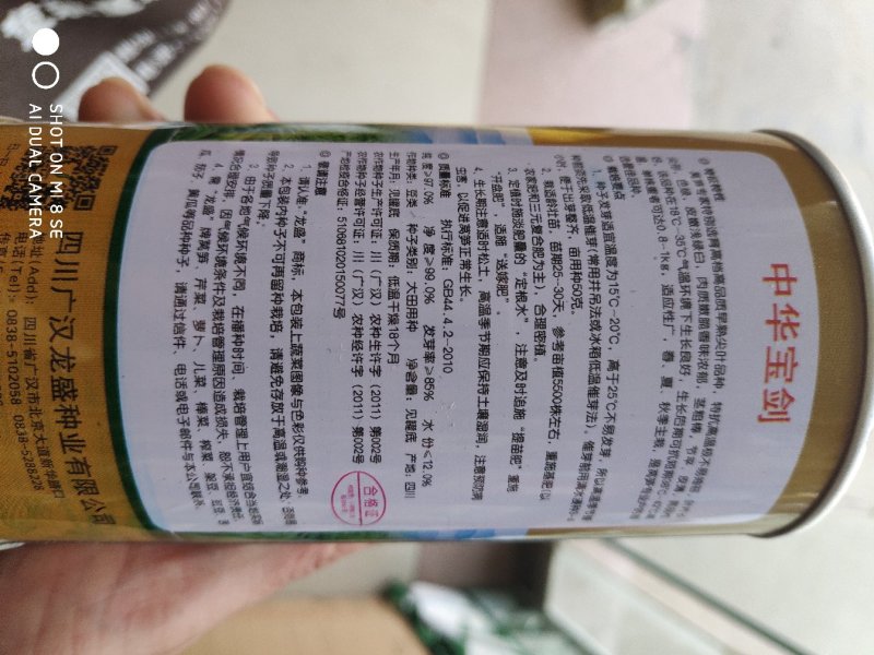 中华宝剑莴笋种子早熟尖叶肉质嫩脆香味浓郁