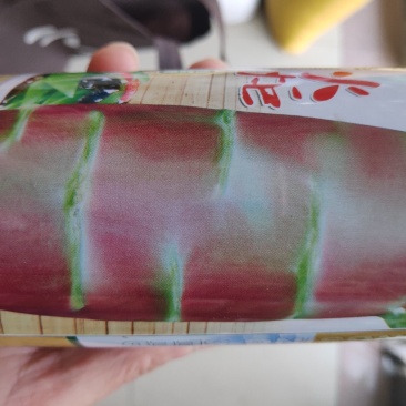 中华火炬莴笋种子耐寒红尖叶青肉香莴笋
