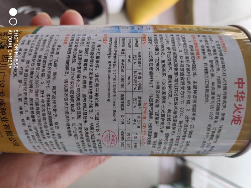 中华火炬莴笋种子耐寒红尖叶青肉香莴笋