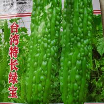 苦瓜种子台湾特长绿宝