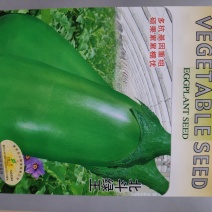 茄子种子(北斗绿王)