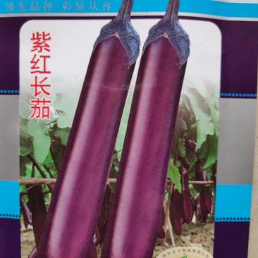 茄子种子(紫红长茄)