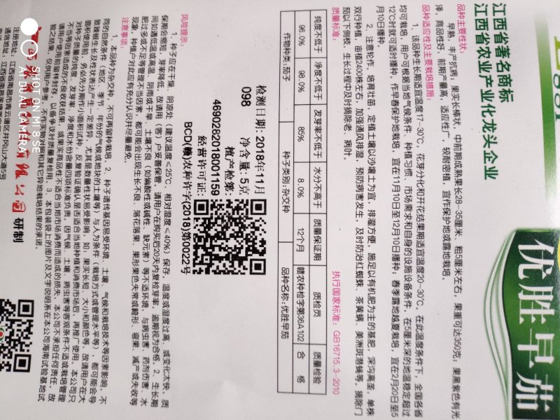 茄子种子(优胜早茄)