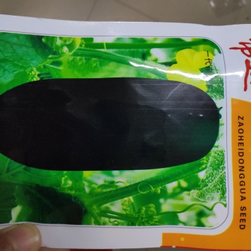 冬瓜种子(早黑冬瓜)