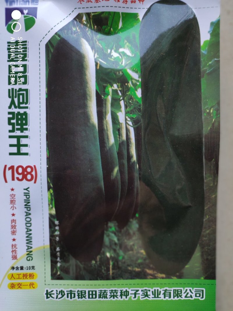 冬瓜种子(黑皮冬瓜)