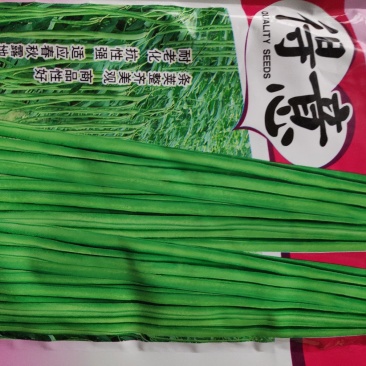 豆角种子(得意油青豆角)