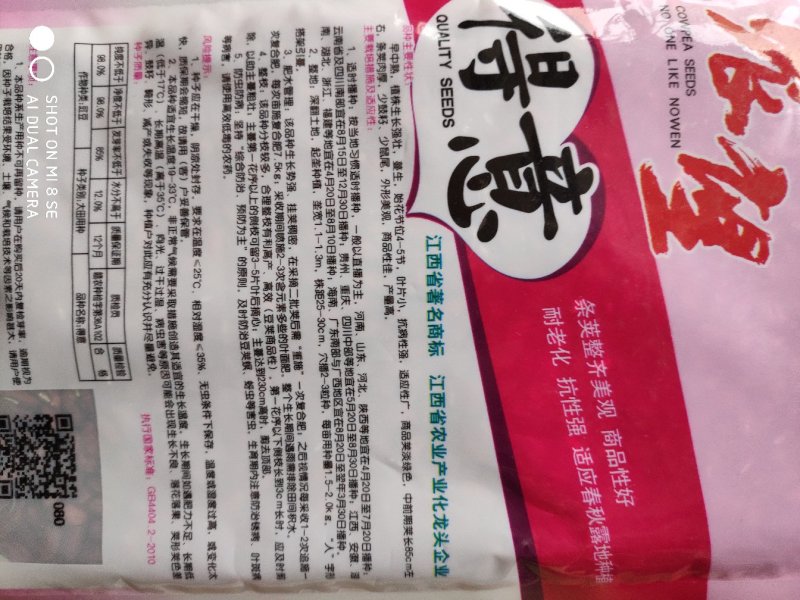 豆角种子(得意油青豆角)