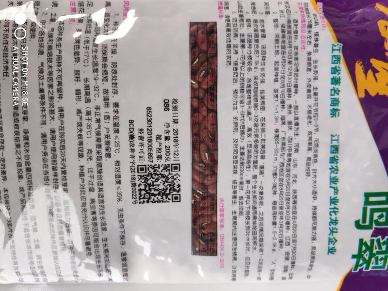 豆角种子(鸣翠长青豆角)