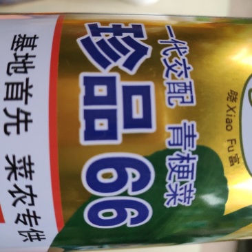 青梗菜种子(珍品66)