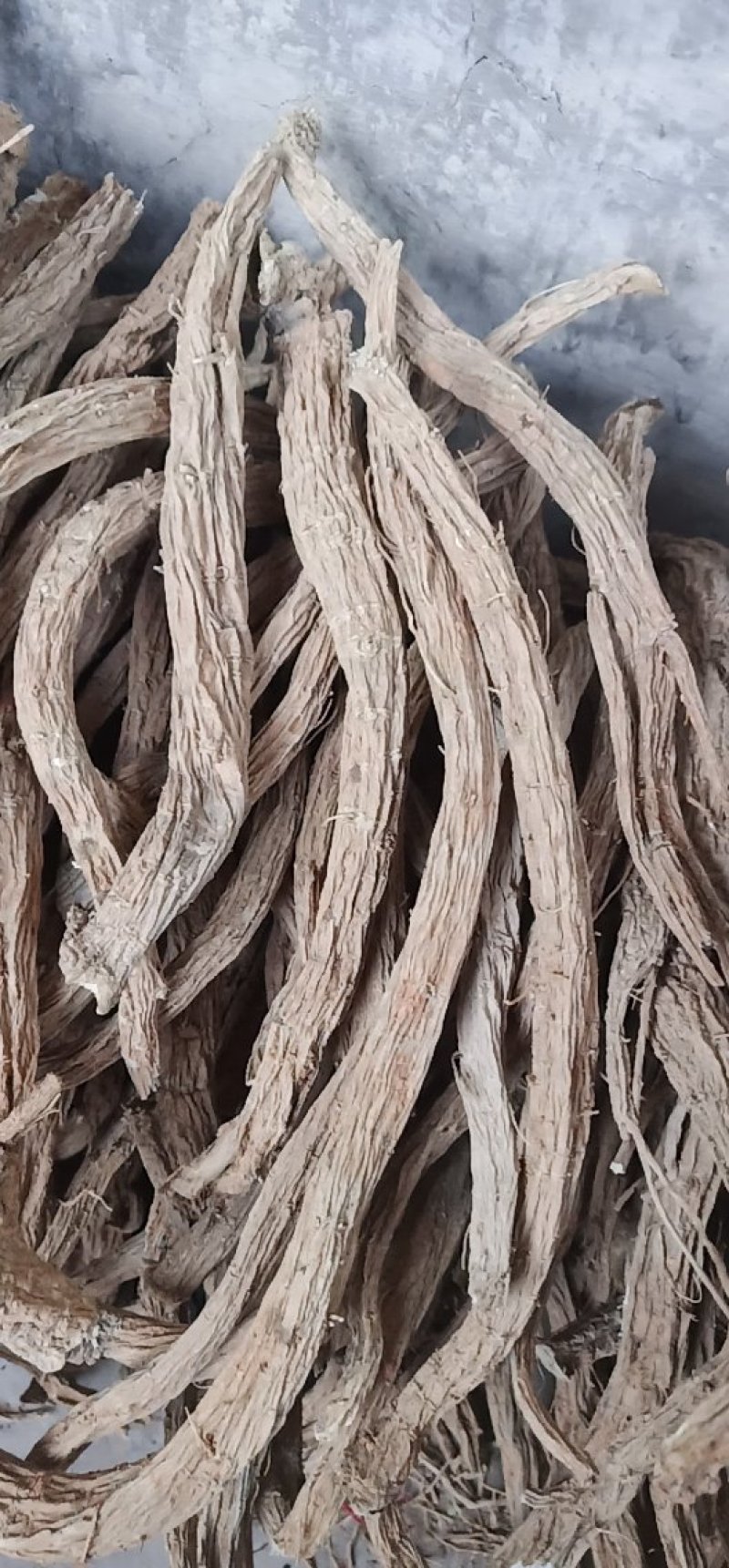 续断大量产新。