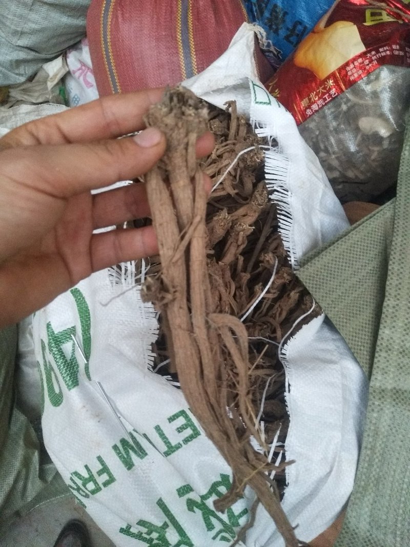 家种续断，开始产新，有需要的可以预定了