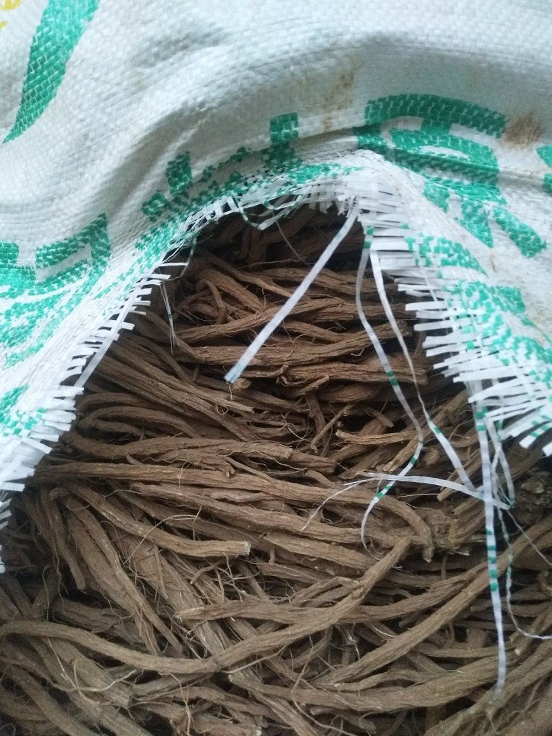 家种续断，开始产新，有需要的可以预定了