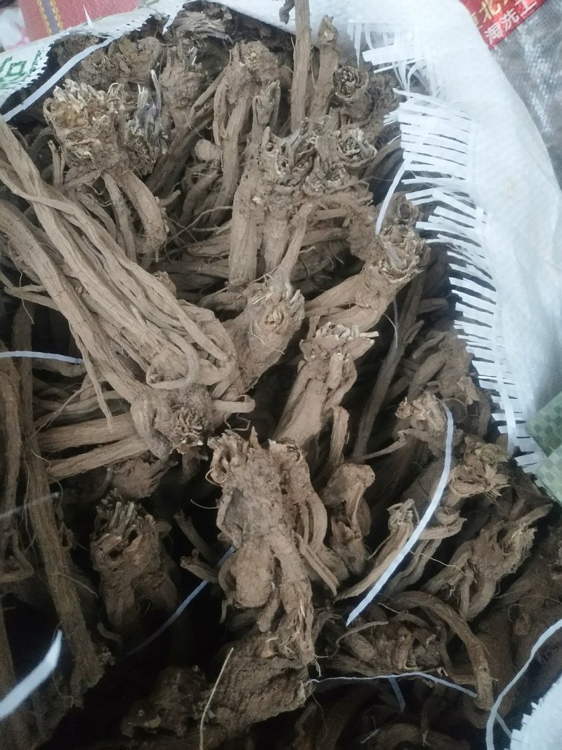 家种续断，开始产新，有需要的可以预定了
