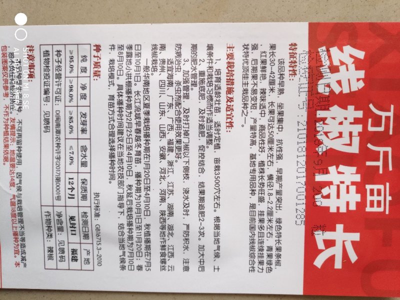 辣椒种子(特长线椒)