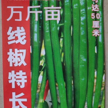 辣椒种子(特长线椒)