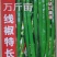 辣椒种子(特长线椒)