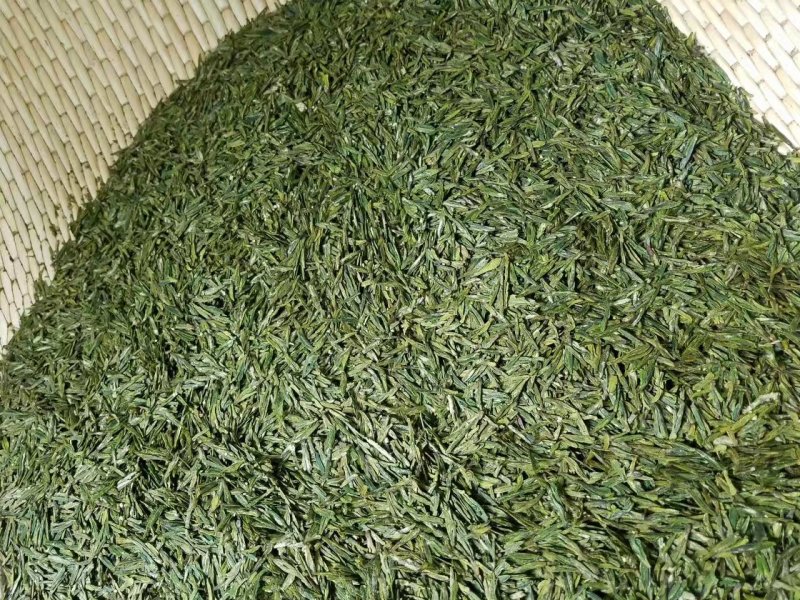 河南南阳桐柏谷雨雨前龙井一芽两叶，茶树品种龙井43