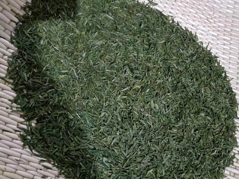 河南南阳桐柏谷雨雨前龙井一芽两叶，茶树品种龙井43