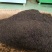 河南南阳桐柏高山红茶自产自销明前茶价格便宜