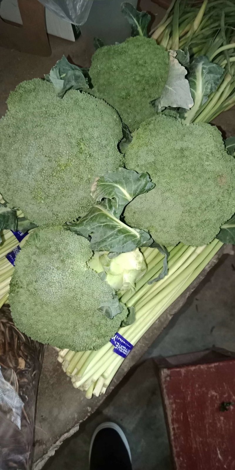 西兰花，五百亩基地直发货，精品