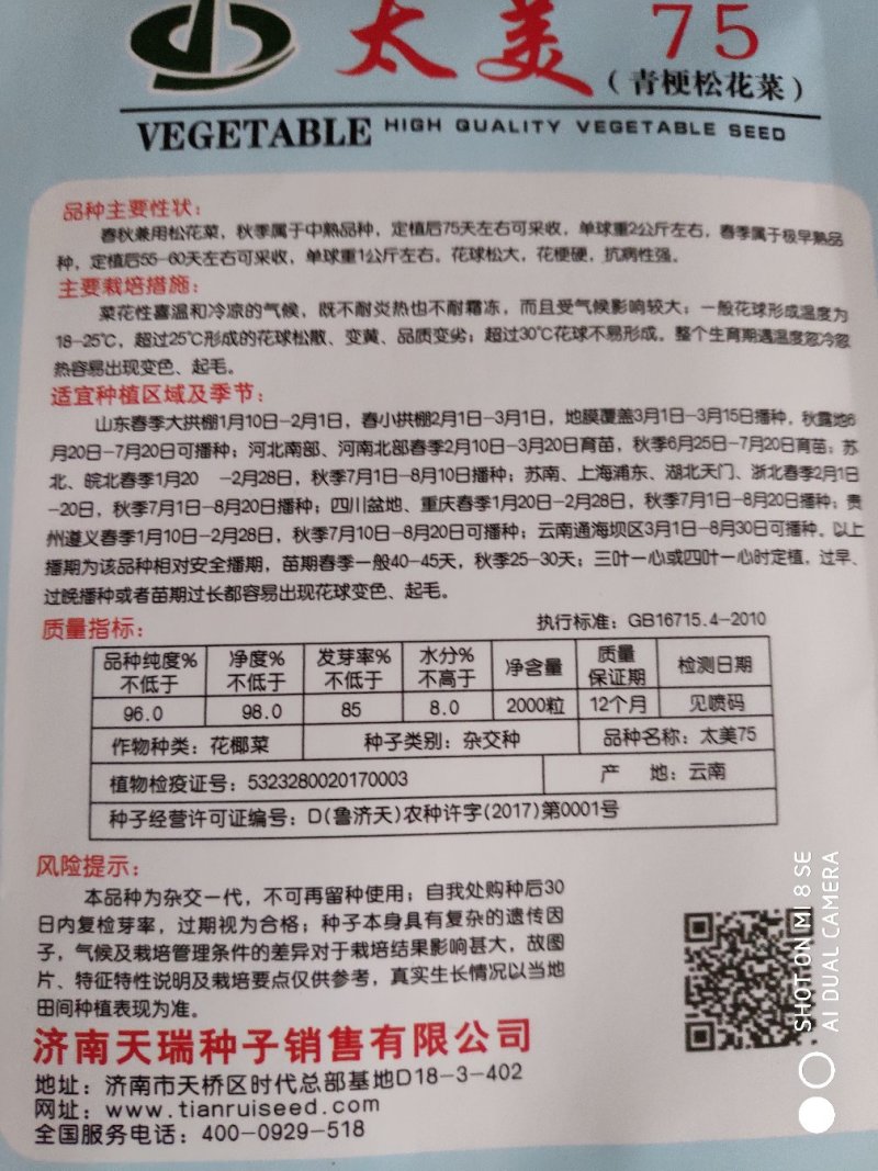 西兰花种子(太美75青梗松花菜)