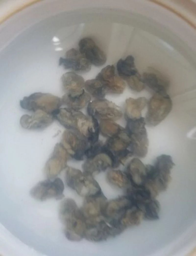 海捕生蚝干天然淡晒中大号一斤140/160头一斤包邮