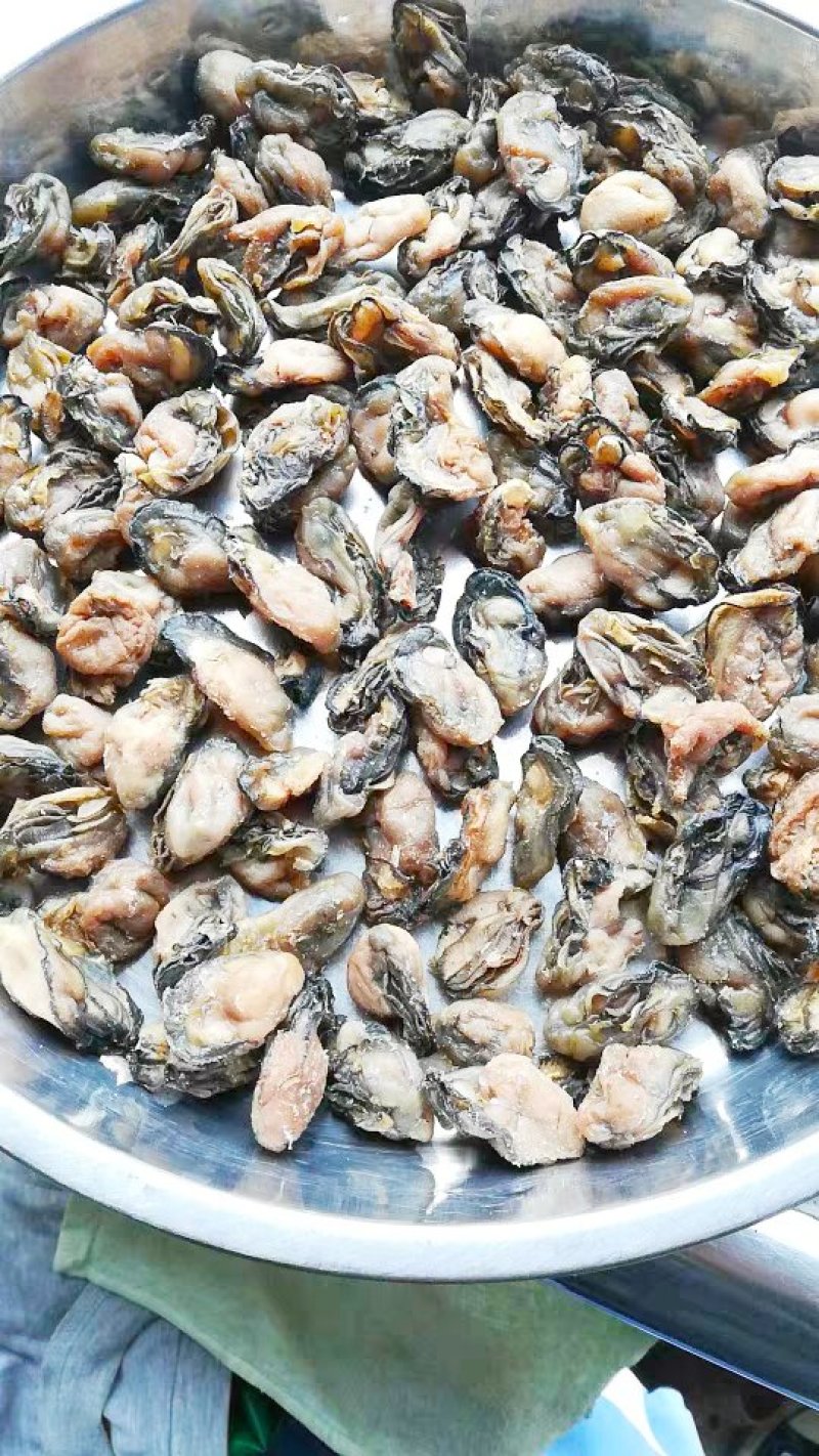 海捕生蚝干天然淡晒中大号一斤140/160头一斤包邮