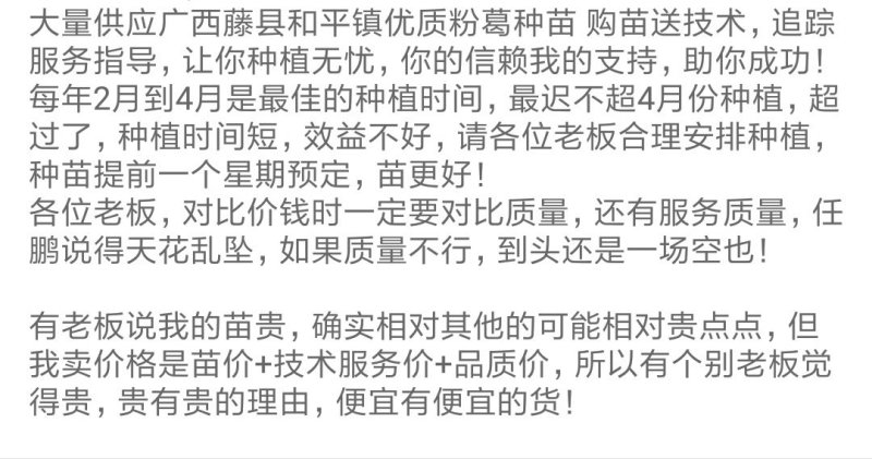 粉葛根一号优质苗，出炉啦