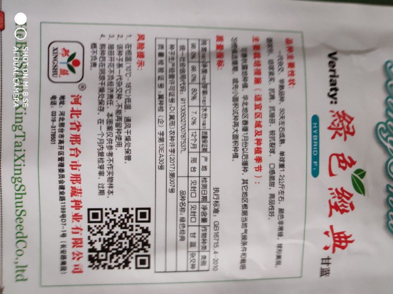 甘蓝种子(绿色经典甘蓝)