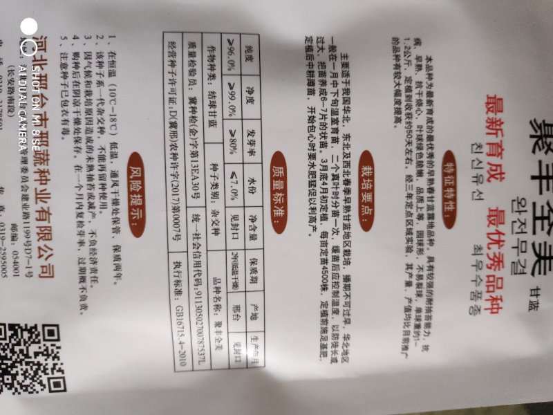 甘蓝种子(聚丰全美甘蓝)