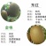 四川苍溪红心猕猴桃苗猕猴桃嫁接苗提供技术指导包品种