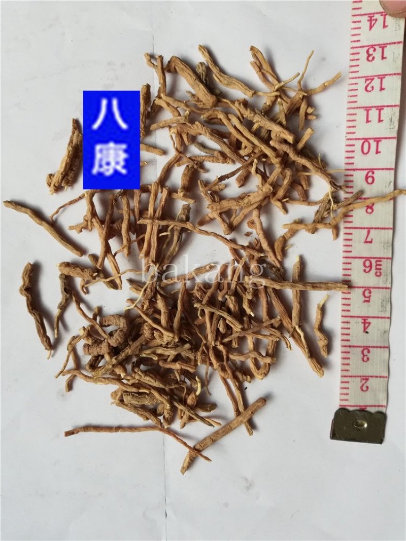 远志批发零售看规格下单支持混批一件代发1000克起