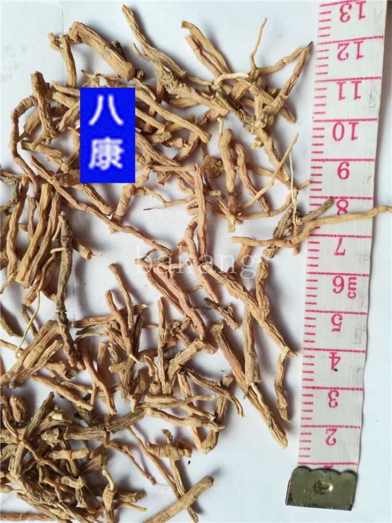 远志批发零售看规格下单支持混批一件代发1000克起