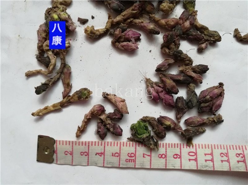 款冬花批发零售品种齐全量大从优一件代发1000起