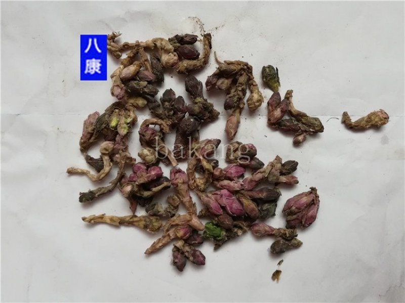 款冬花批发零售品种齐全量大从优一件代发1000起