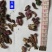 款冬花批发零售品种齐全量大从优一件代发1000起