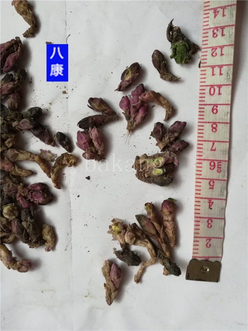 款冬花批发零售品种齐全量大从优一件代发1000起