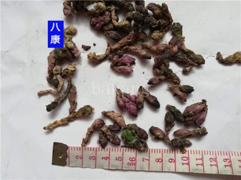 款冬花批发零售品种齐全量大从优一件代发1000起