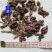 款冬花批发零售品种齐全量大从优一件代发1000起