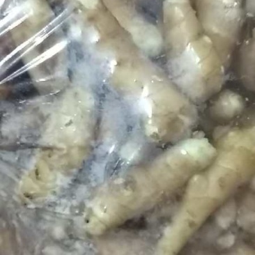 生姜姜巴