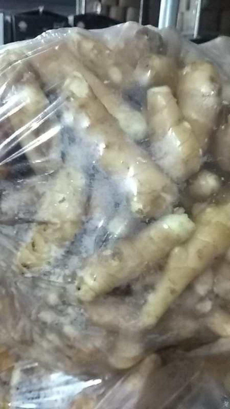 生姜姜巴