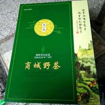 信阳毛尖商城高山茶