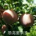 贝欧力克西梅树苗品种卯爷西梅苗基地