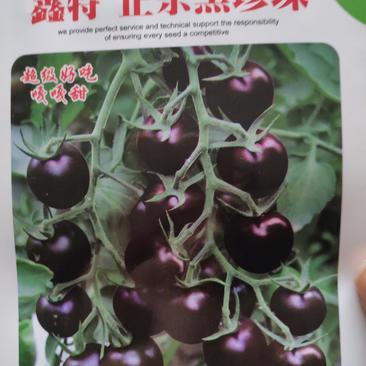 西红柿种子(樱桃番茄种一黑珍珠)
