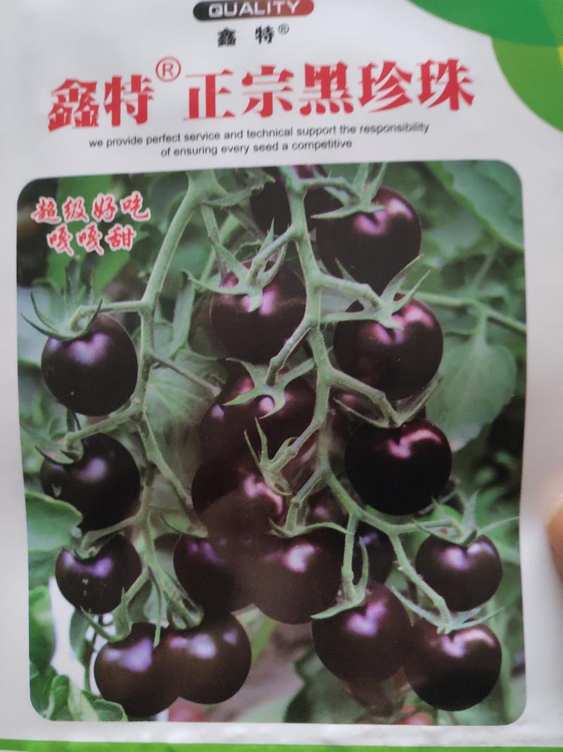 西红柿种子(樱桃番茄种一黑珍珠)