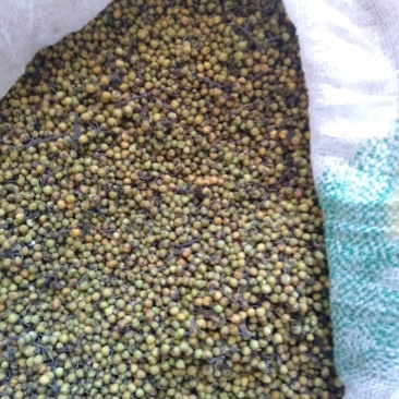 干杂佐料，香料，木姜子