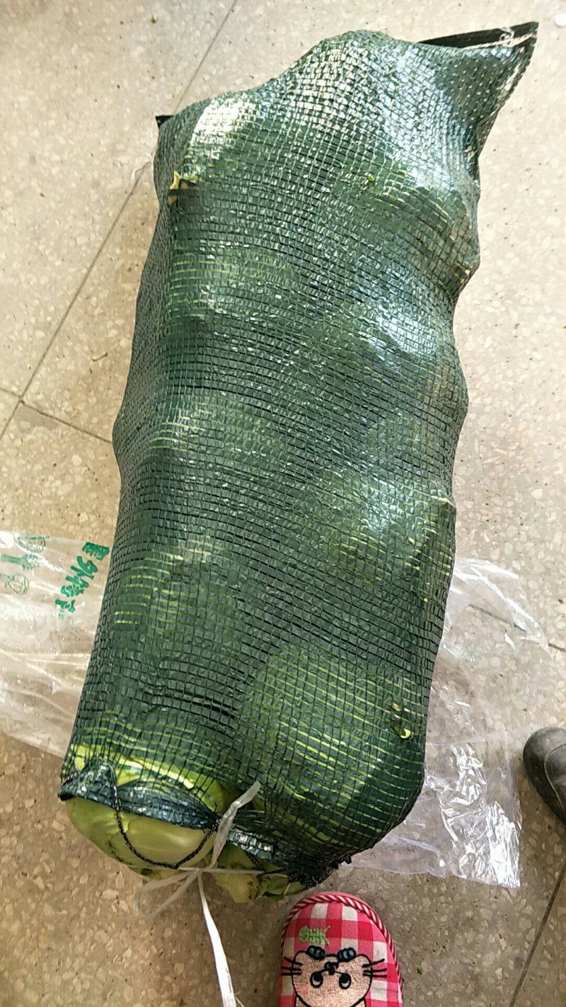 湖北襄阳宜城甘蓝，比久三八大头菜产地