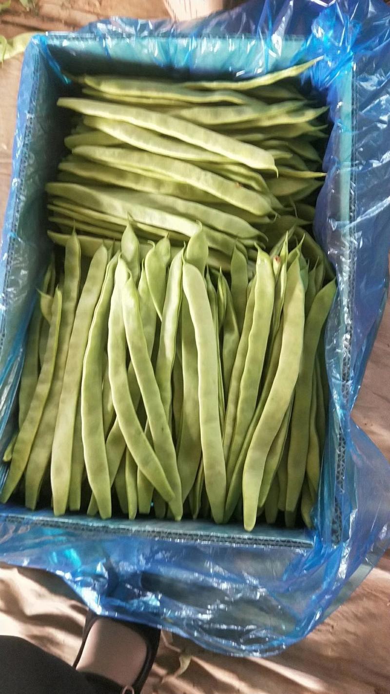 【热卖中】精品扁豆一手货源产地直采全国发货
