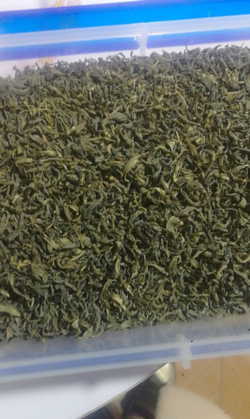 绿茶