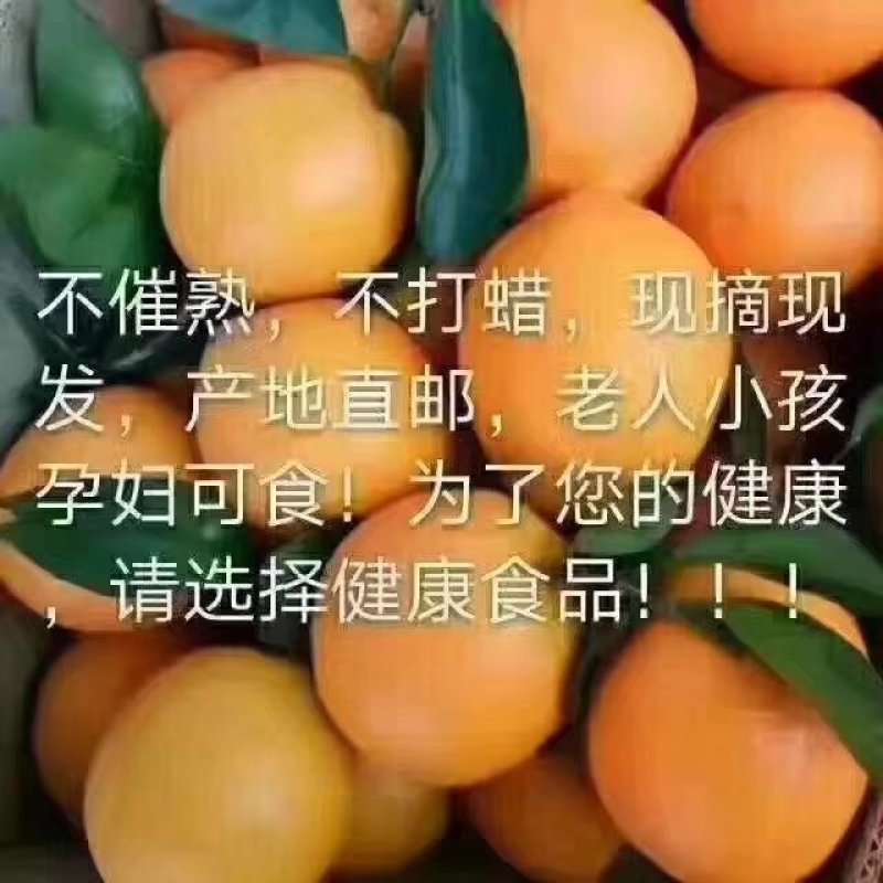 精品纽荷尔产地直销，诚信代办商超直供，量大从优